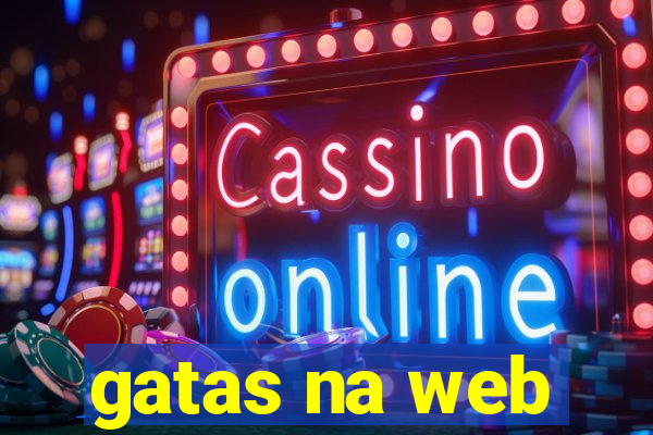 gatas na web